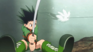 Hunter x Hunter (2011) preview small - slashpanda.com
